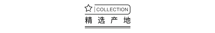 描述9.jpg